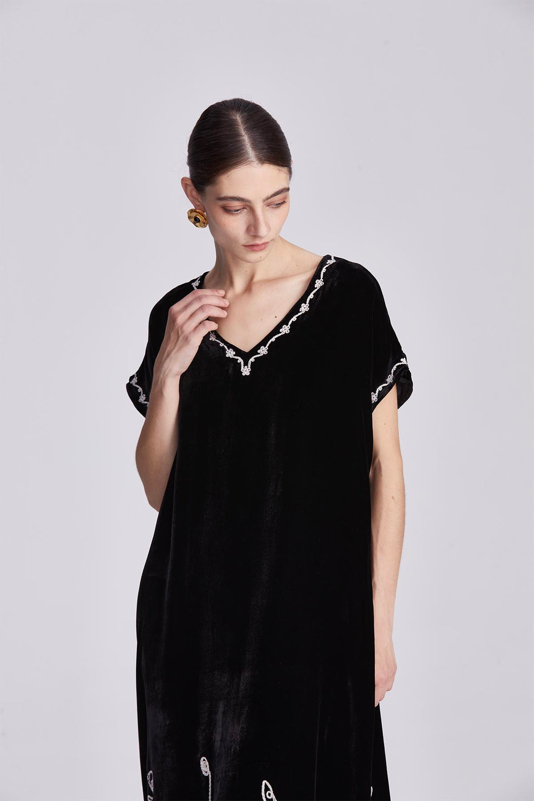 Theodora Embroidered Silk Velvet Dress