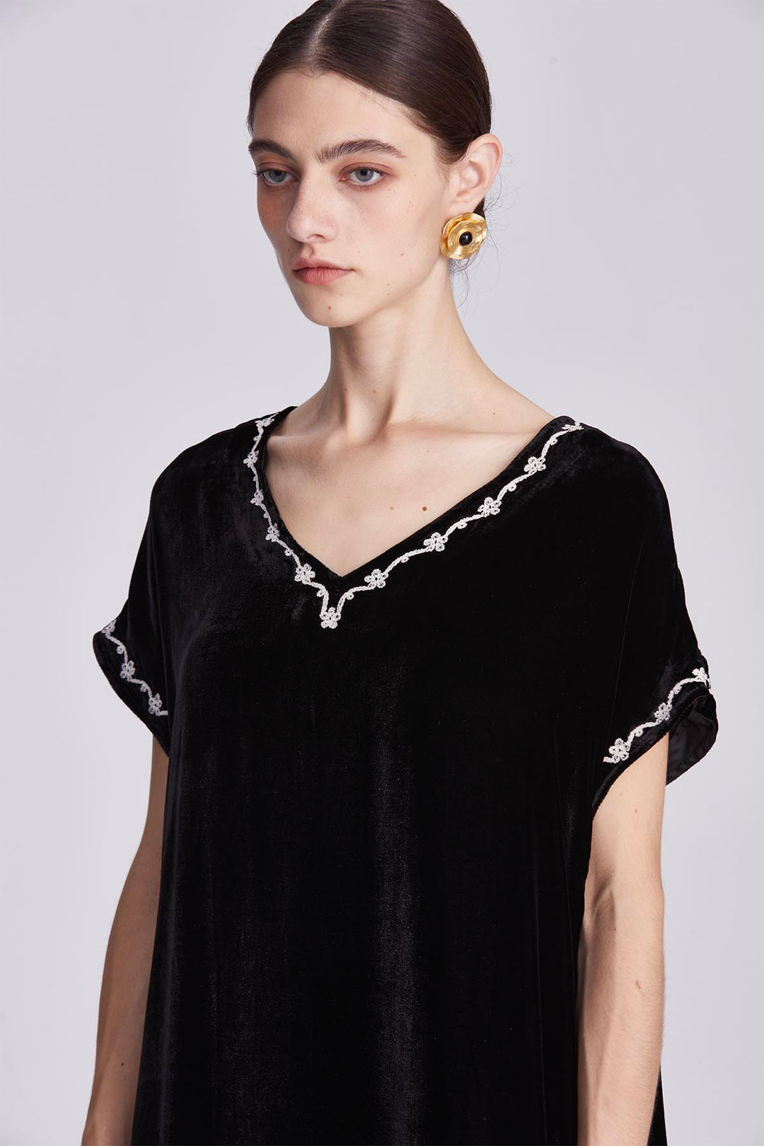 Theodora Embroidered Silk Velvet Dress