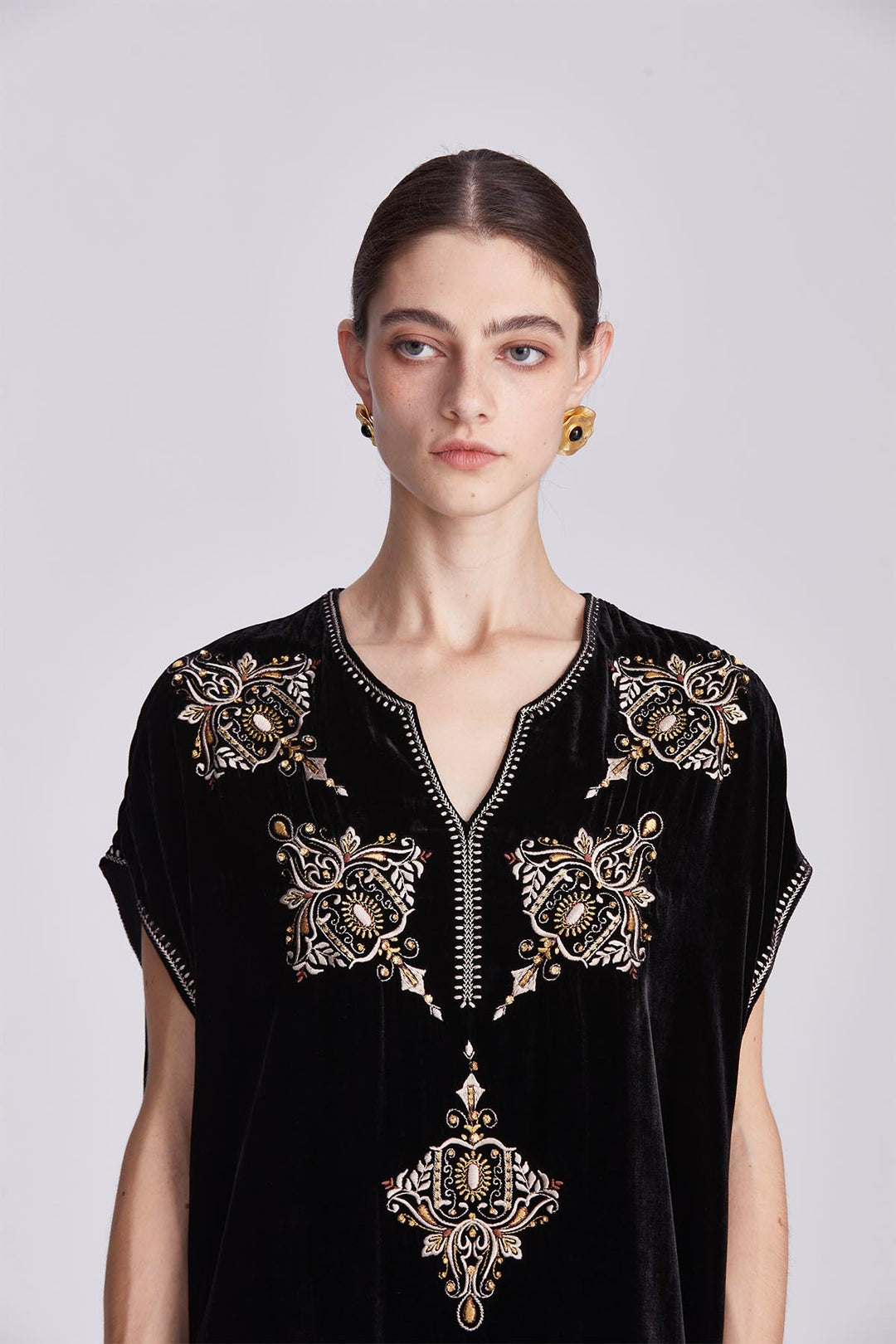 Elspeth Embroidered Velvet dress