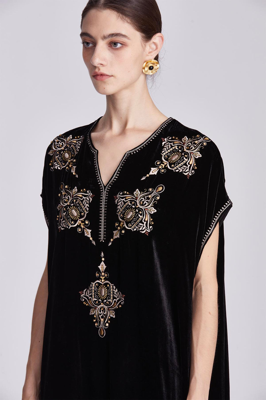 Elspeth Embroidered Velvet dress