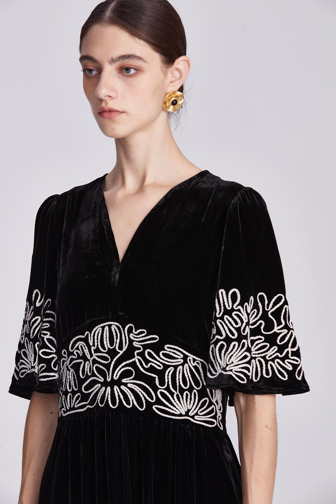 Amara Embroidered Velvet Dress