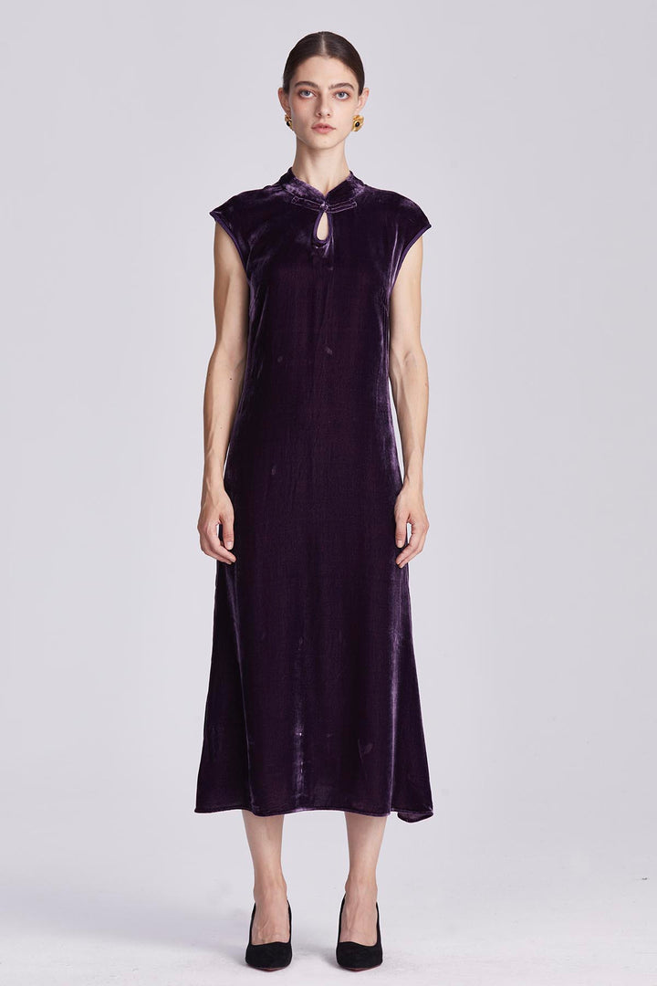 Ines Retro Velvet Dress