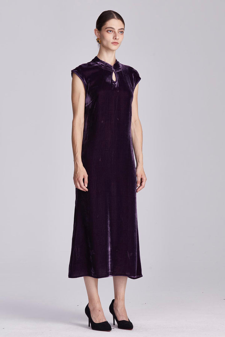 Ines Retro Velvet Dress