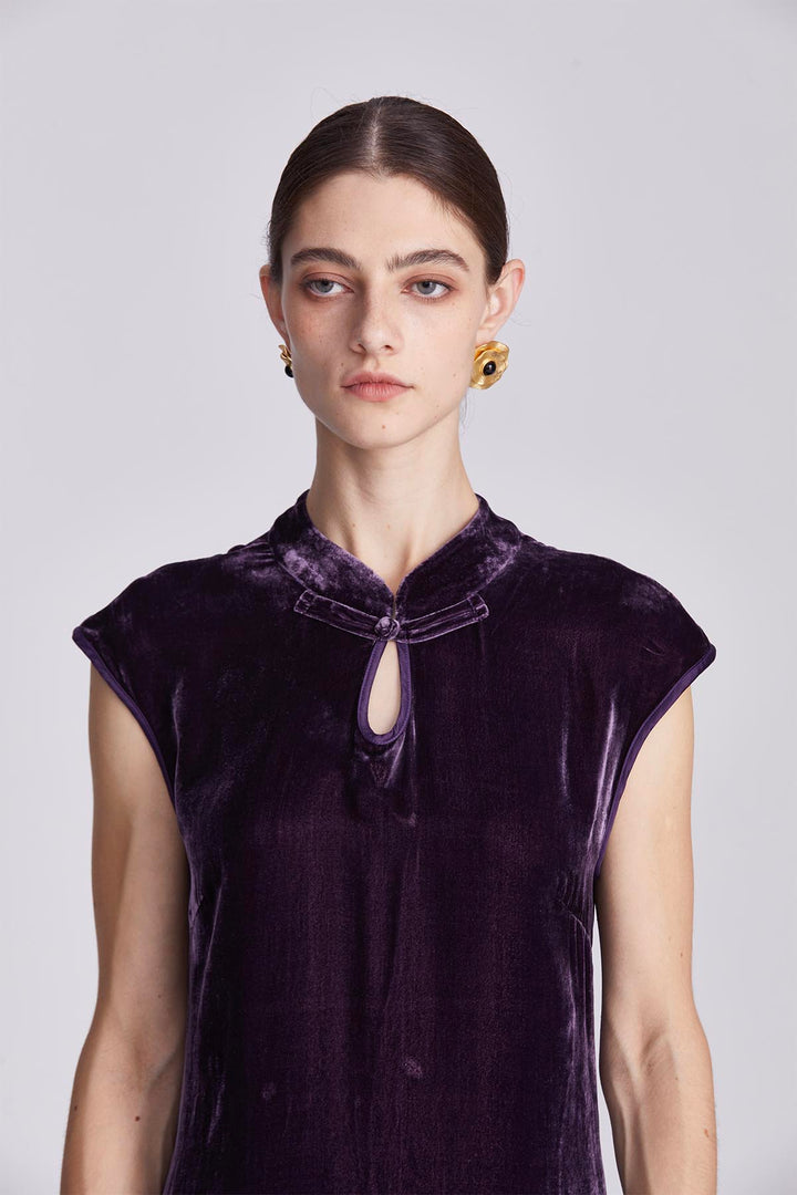 Ines Retro Velvet Dress