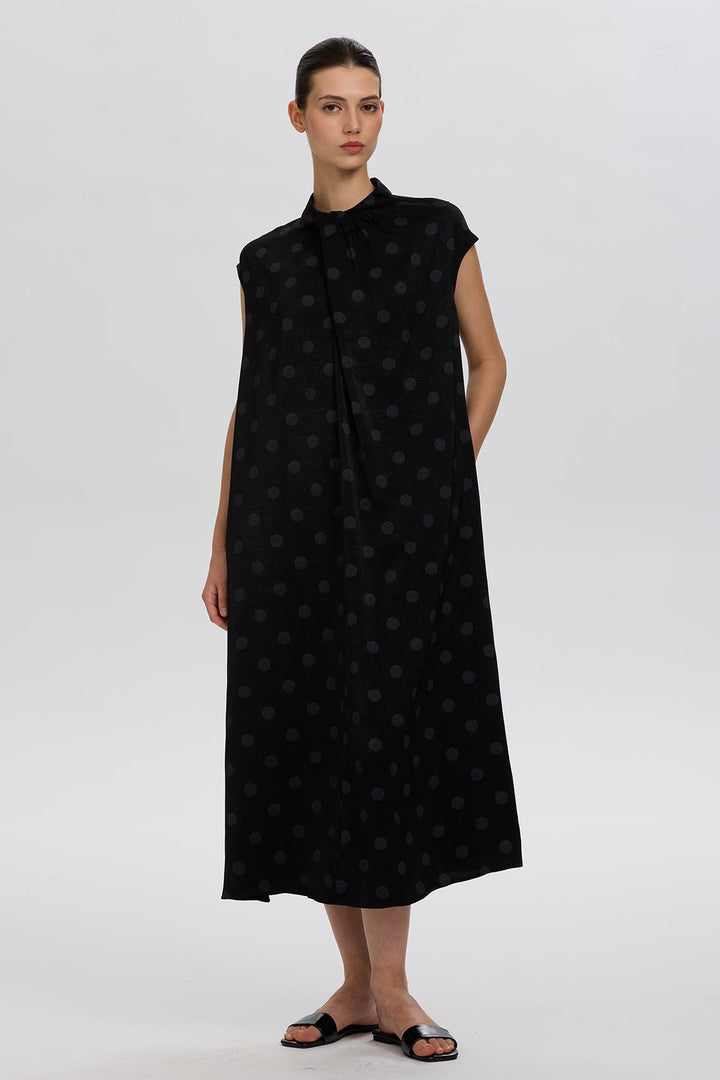 Norie Polka Dot Pleated Dress