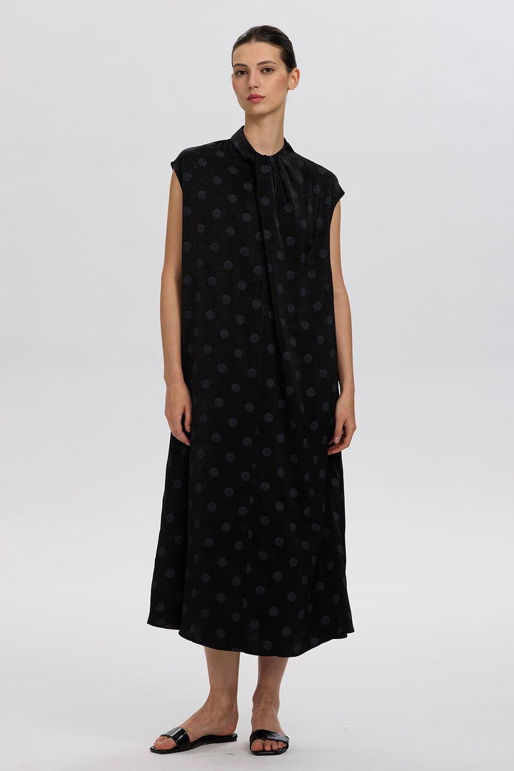 Norie Polka Dot Pleated Dress