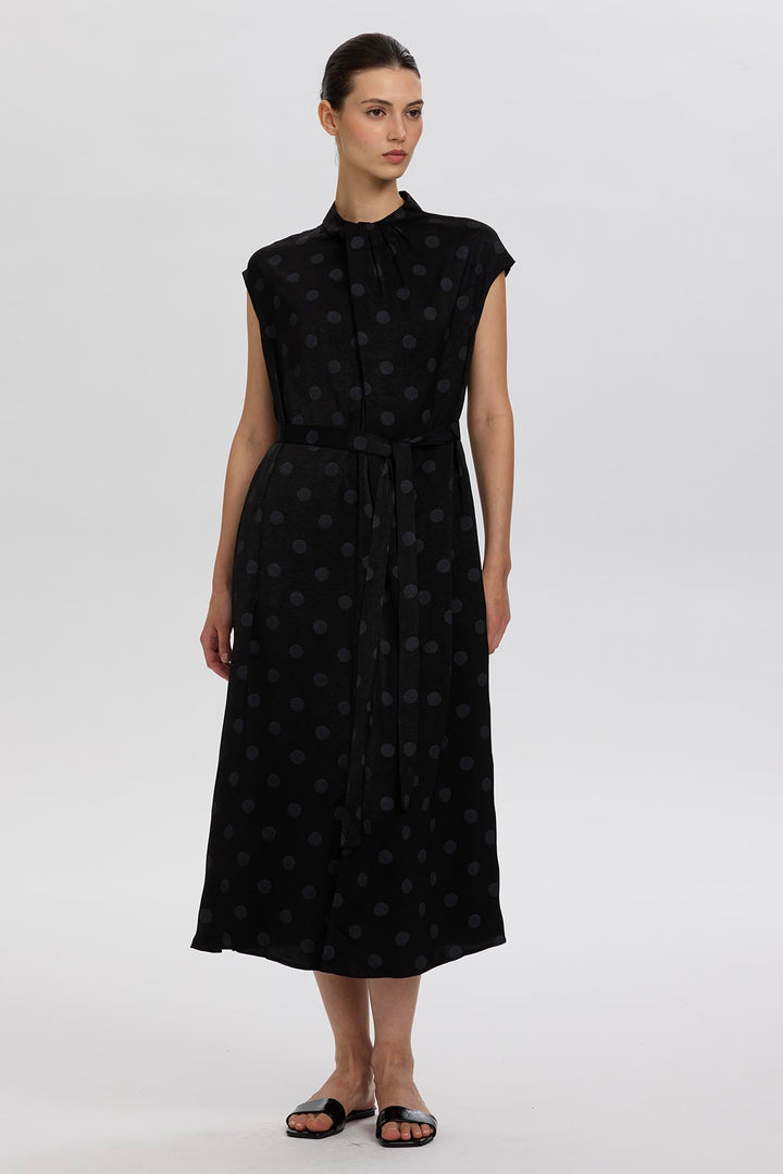 Norie Polka Dot Pleated Dress
