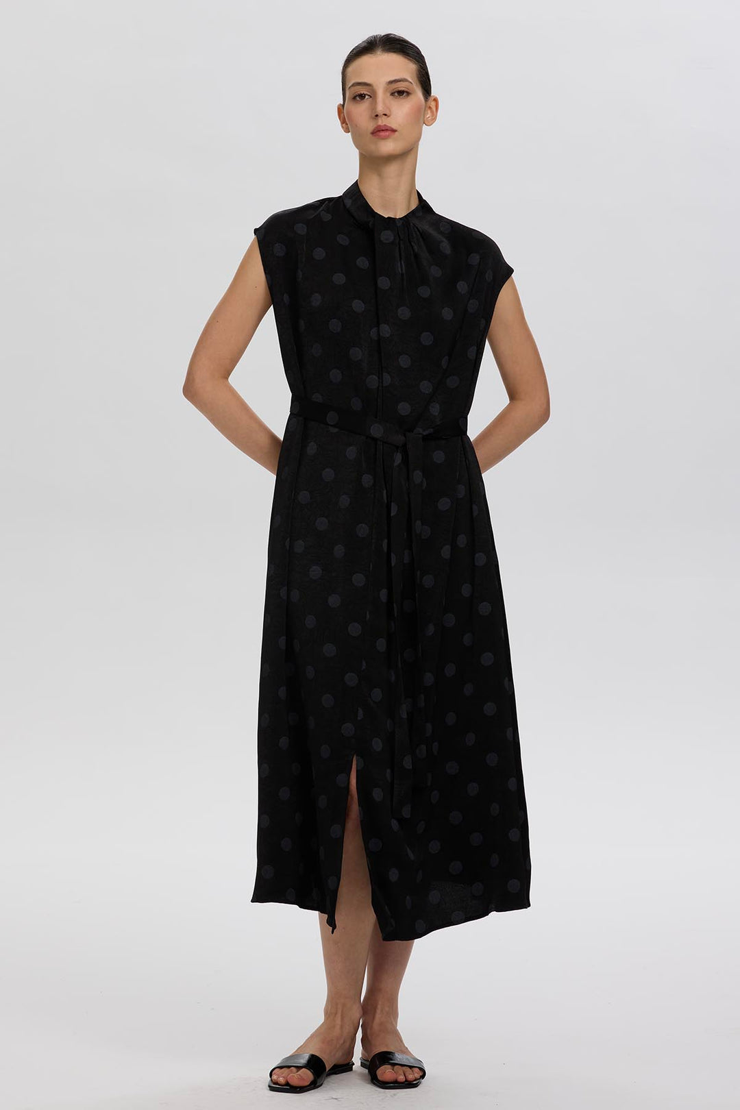 Norie Polka Dot Pleated Dress