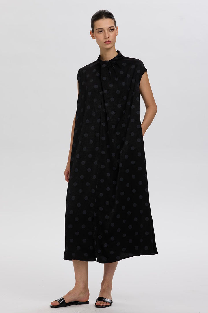 Norie Polka Dot Pleated Dress