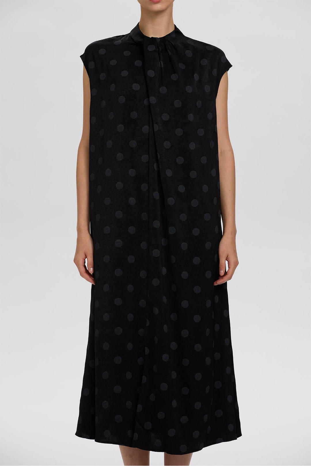 Norie Polka Dot Pleated Dress