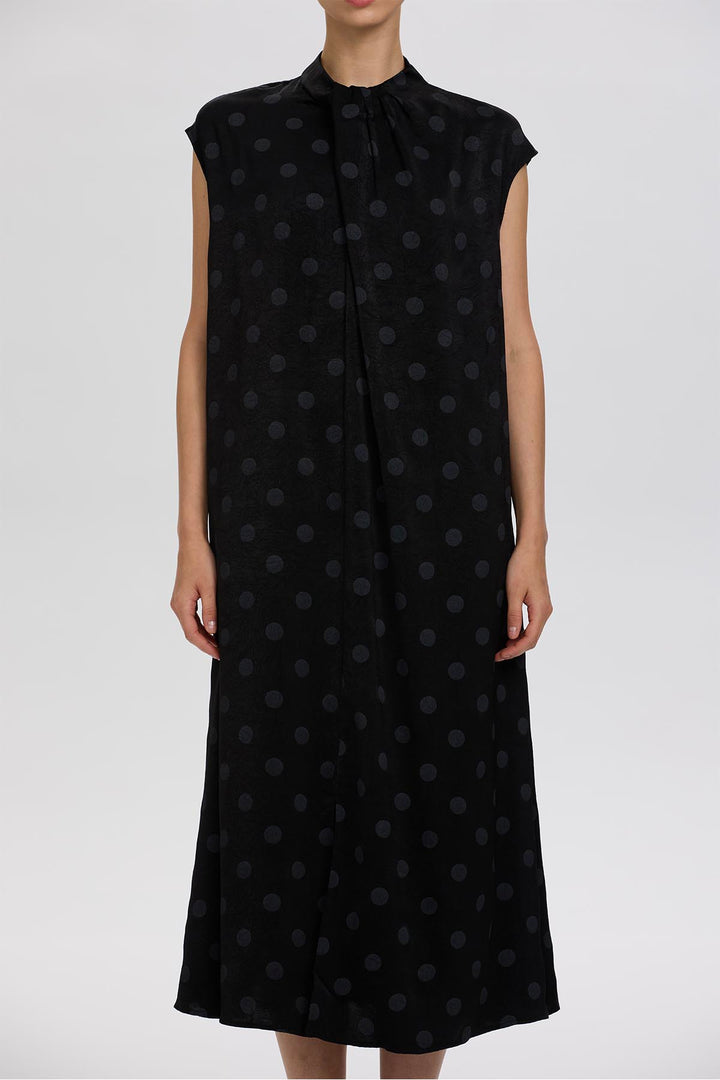 Norie Polka Dot Pleated Dress