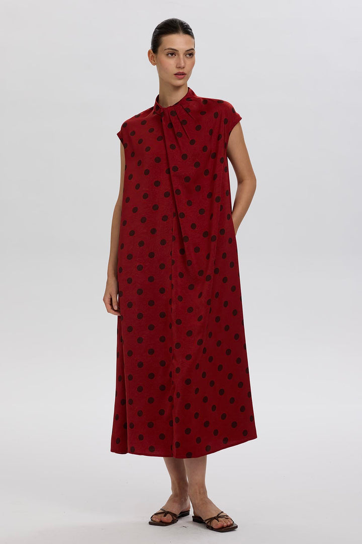 Norie Polka Dot Pleated Dress