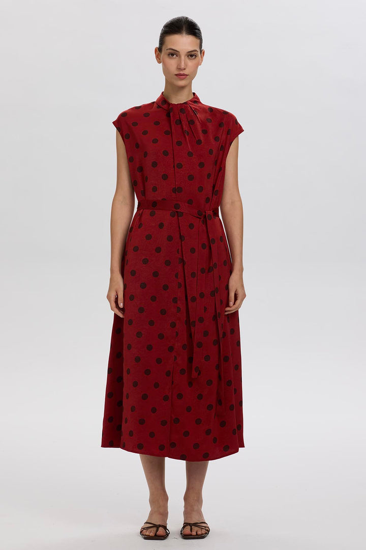 Norie Polka Dot Pleated Dress