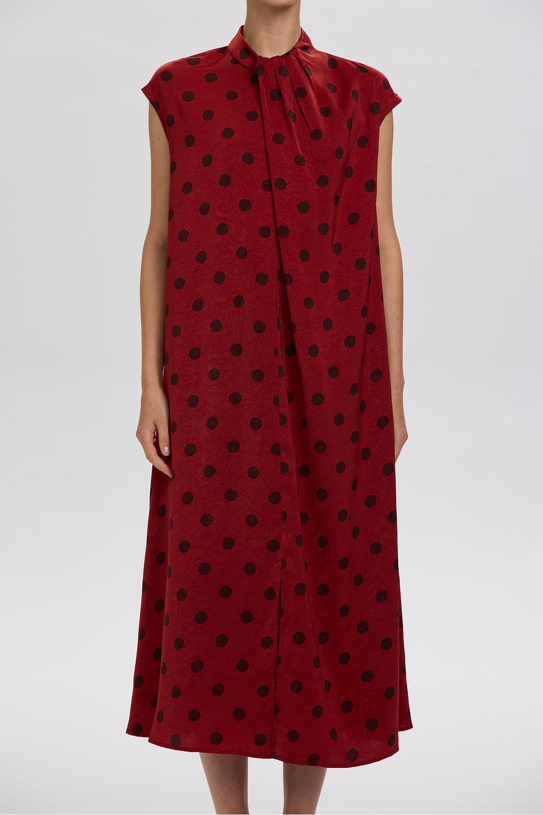 Norie Polka Dot Pleated Dress