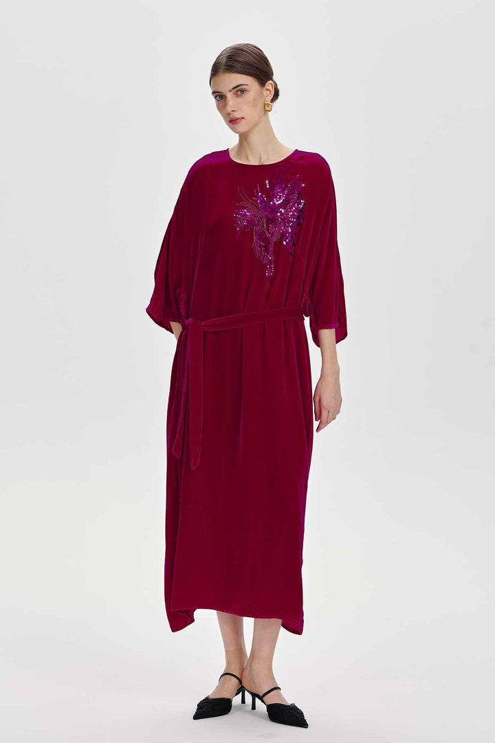 Paloma Embellished Velvet Dress