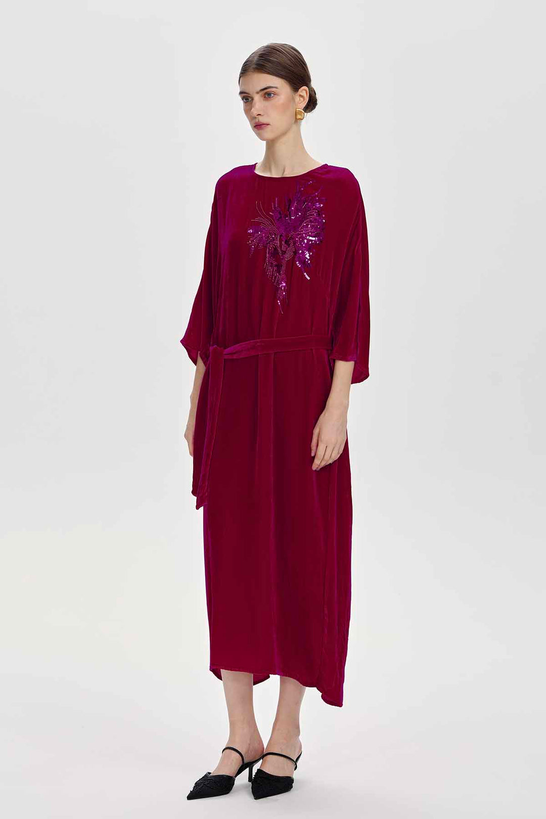 Paloma Embellished Velvet Dress