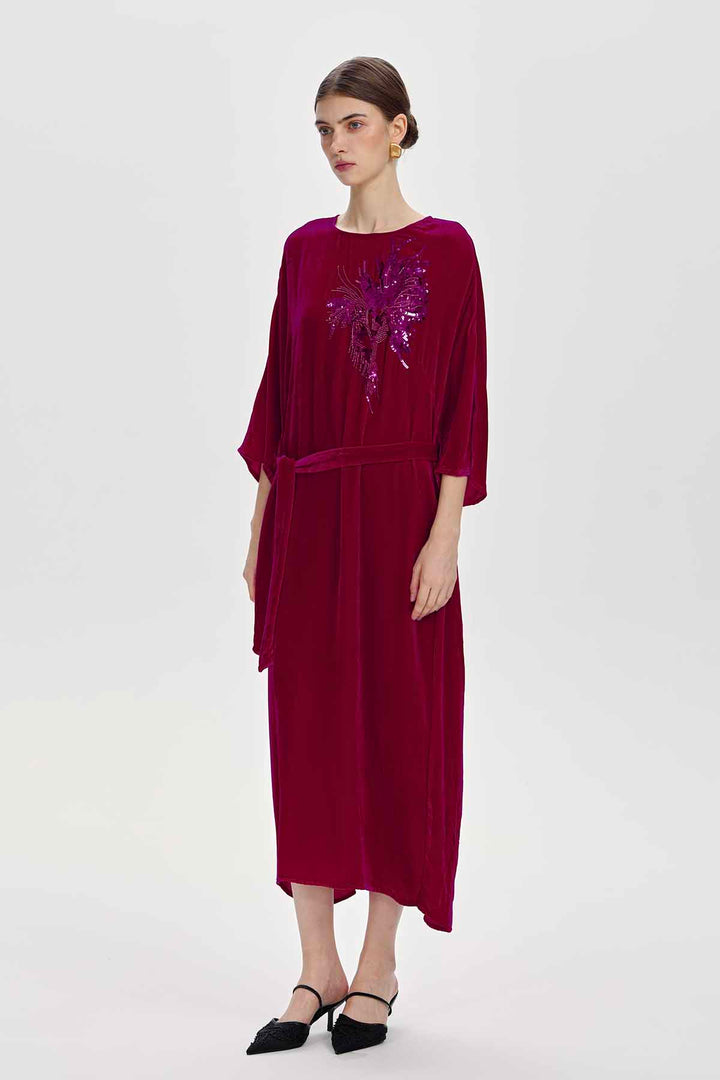 Paloma Embellished Velvet Dress