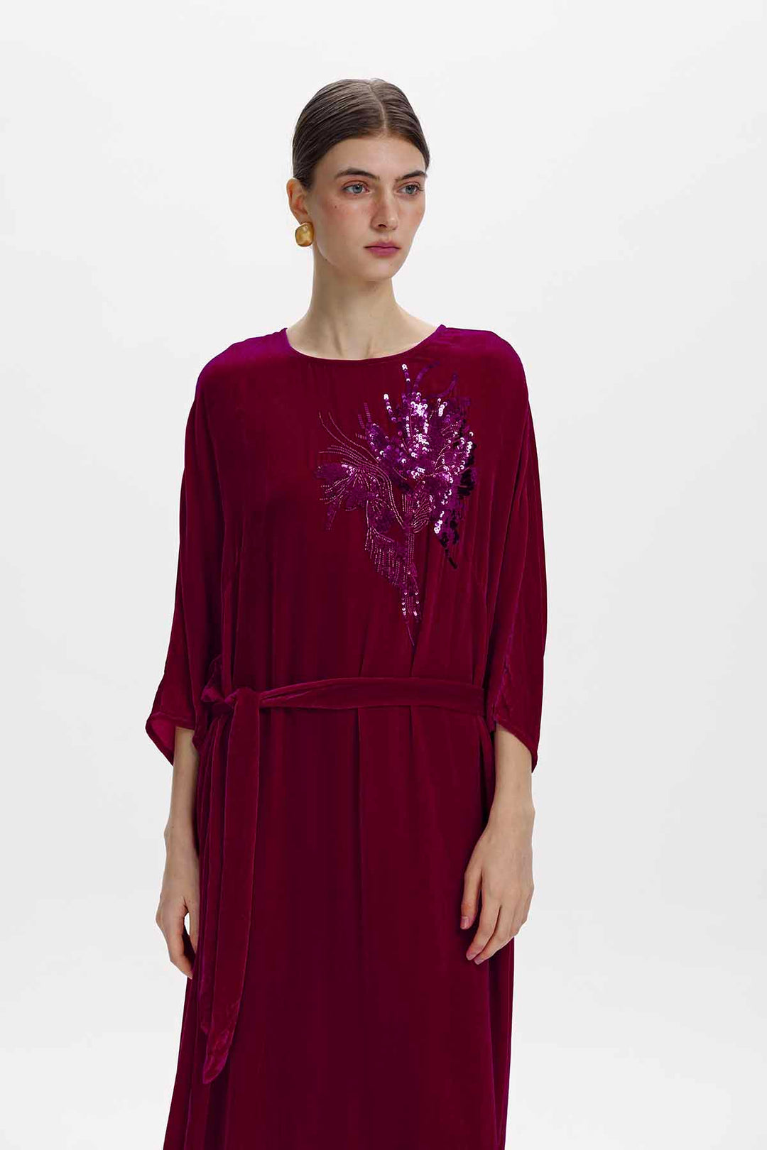 Paloma Embellished Velvet Dress