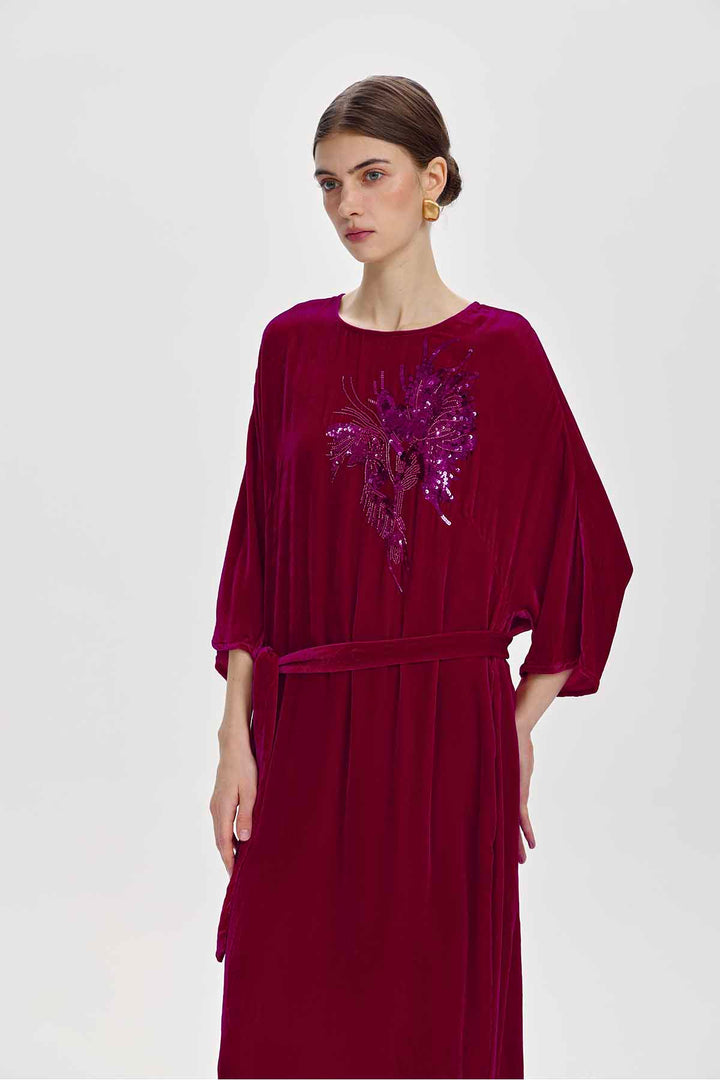 Paloma Embellished Velvet Dress