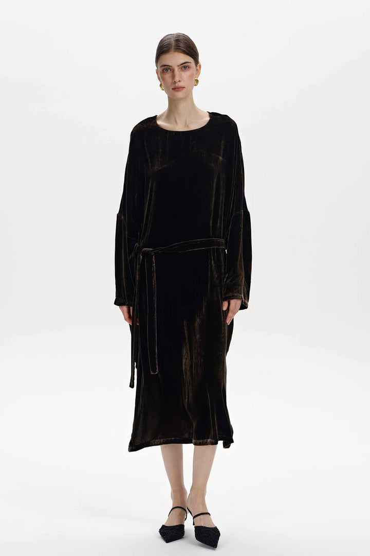 Albane Velvet Dress