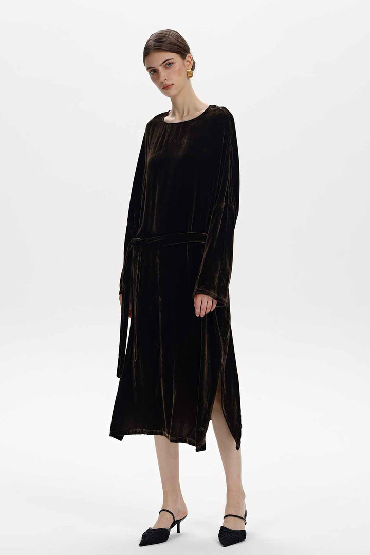 Albane Velvet Dress