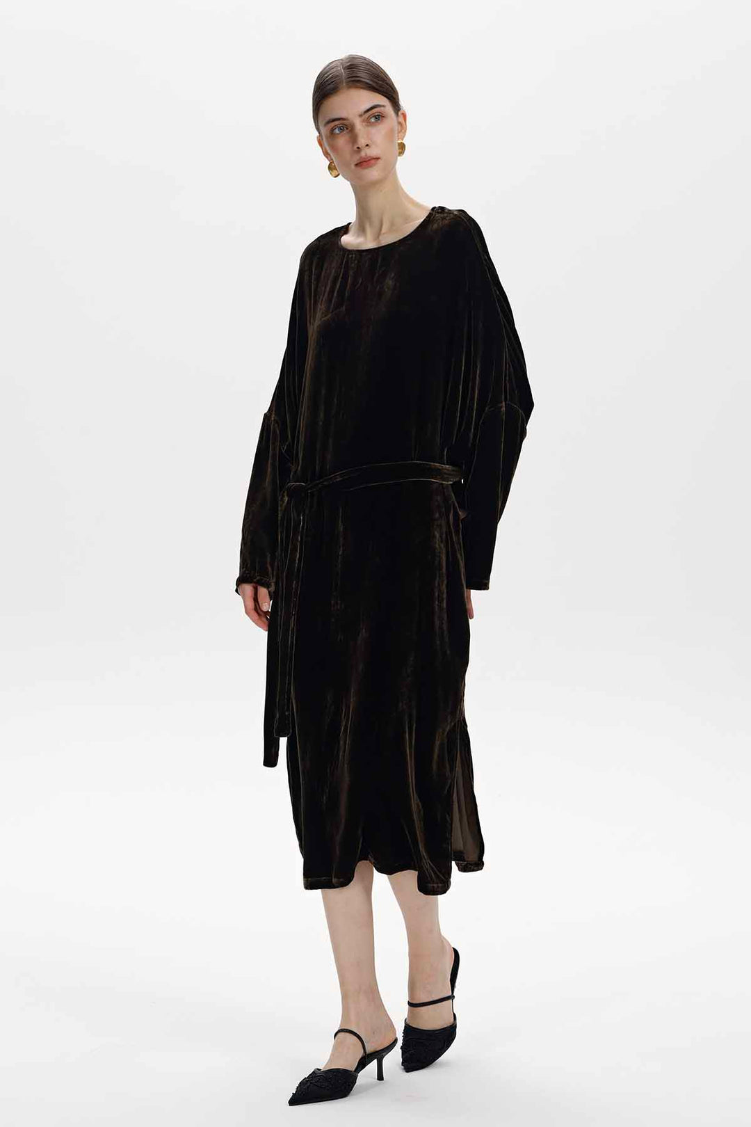Albane Velvet Dress