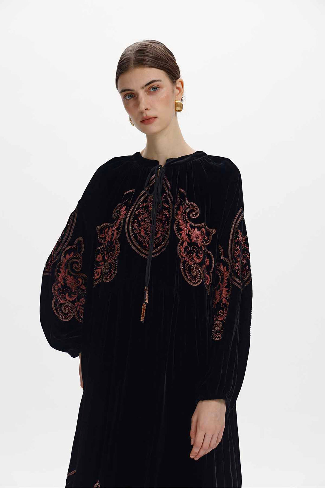 Eloise Embroidered Velvet Maxi Dress