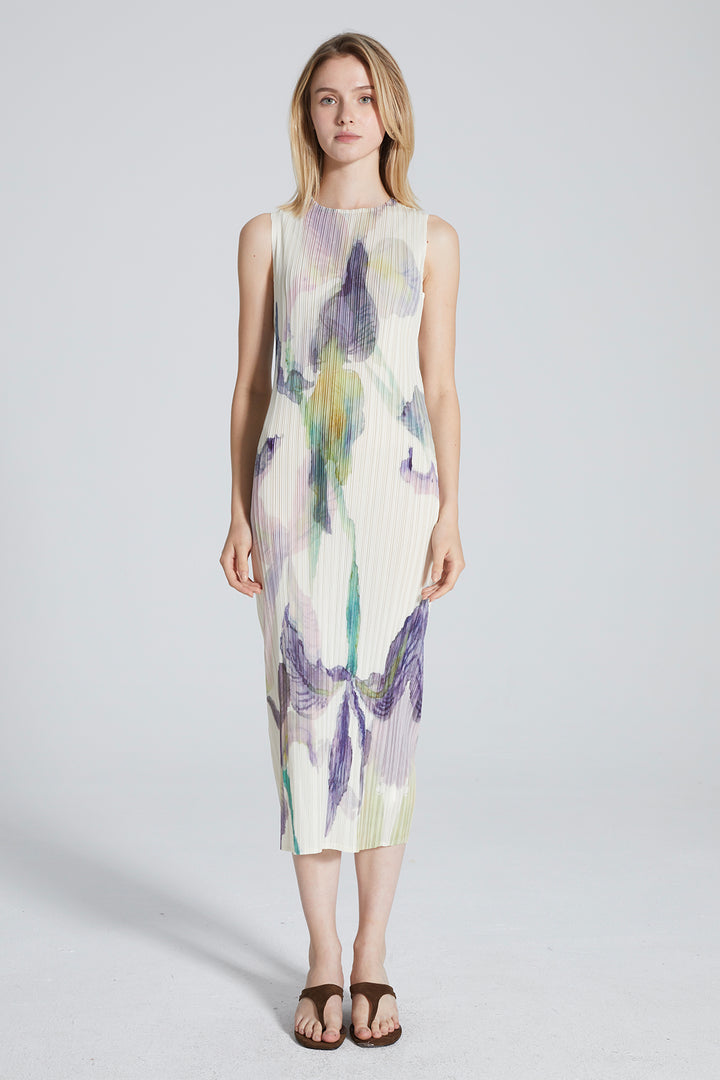 Serena Pleated Print Dress