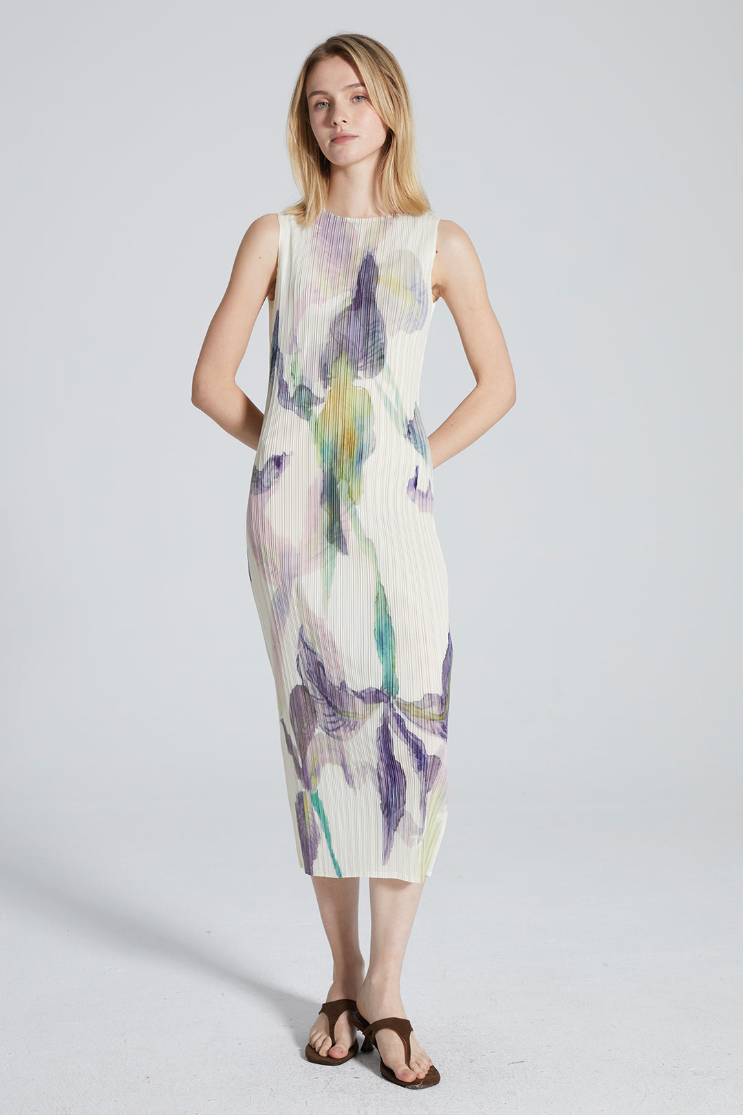 Serena Pleated Print Dress