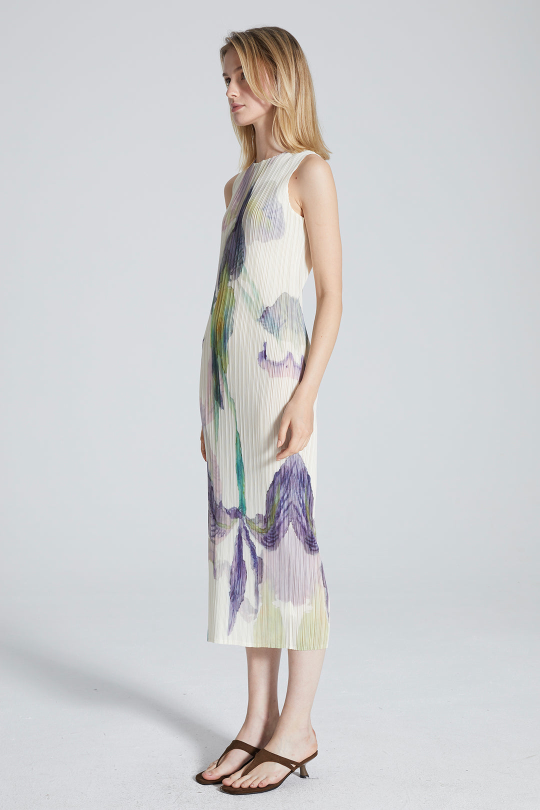 Serena Pleated Print Dress