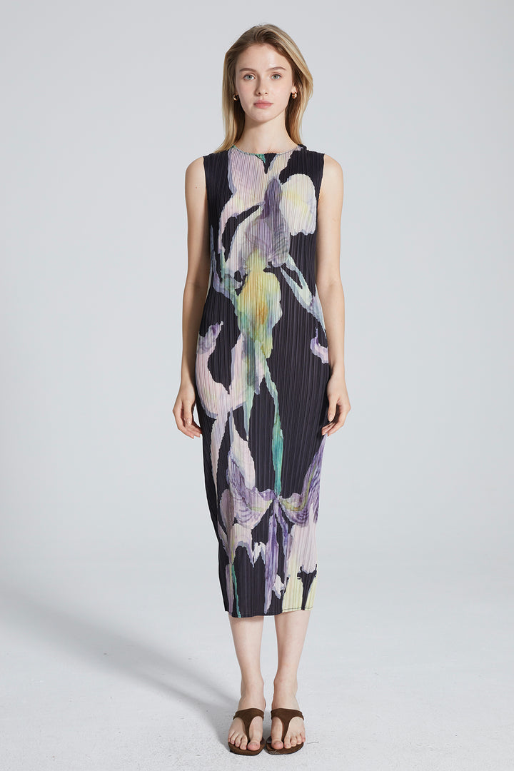 Serena Pleated Print Dress