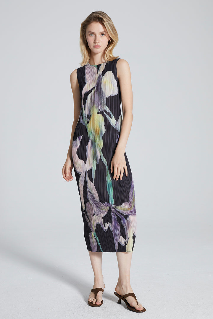 Serena Pleated Print Dress