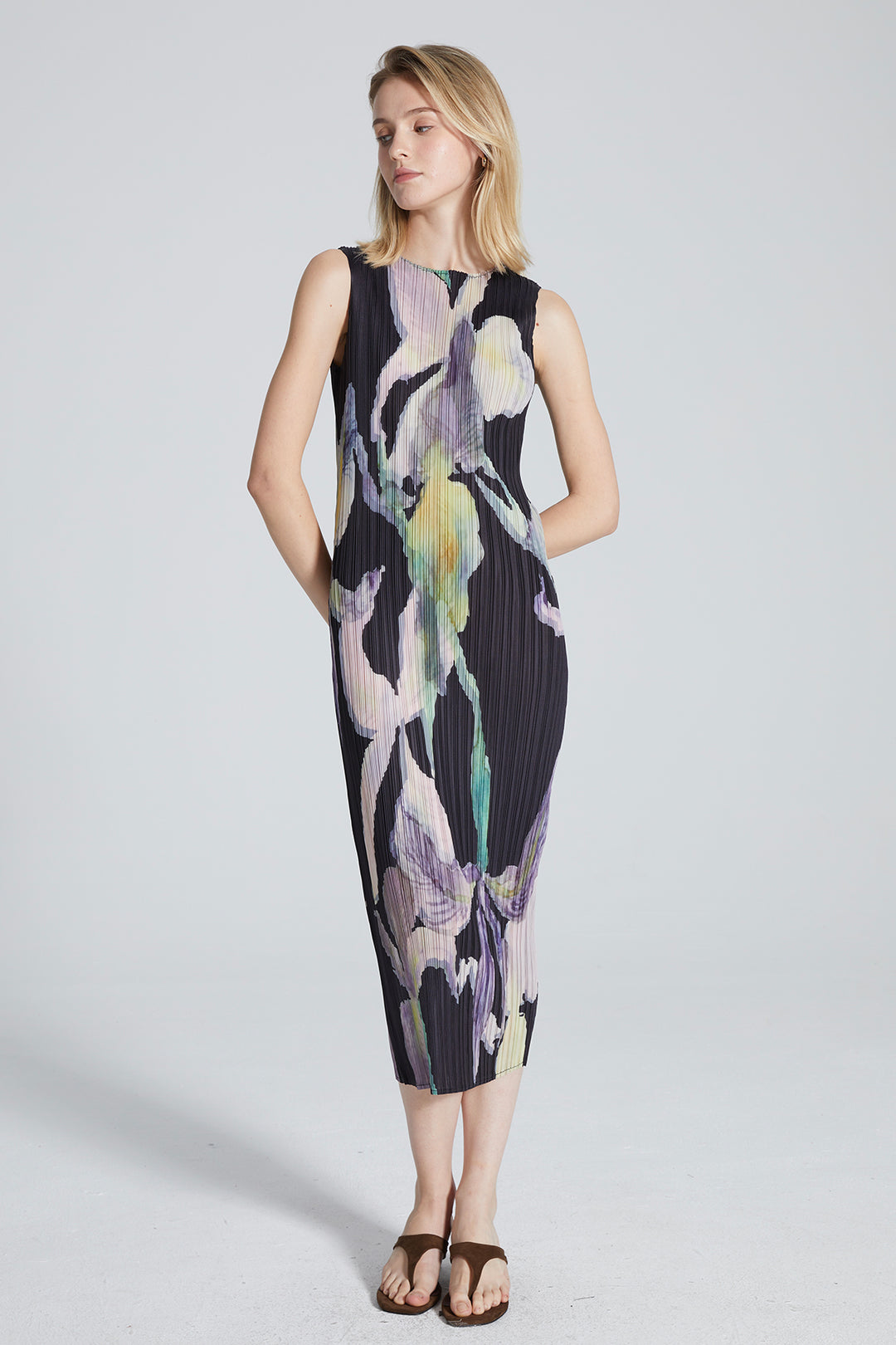 Serena Pleated Print Dress