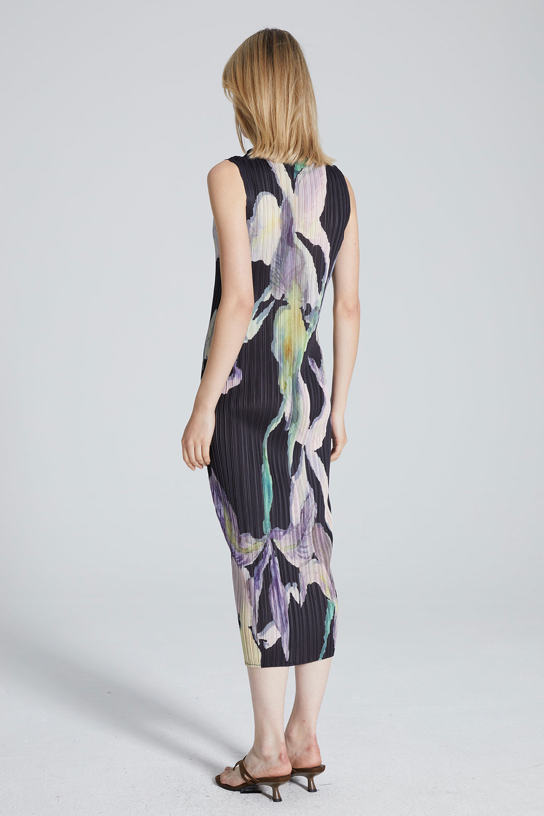 Serena Pleated Print Dress