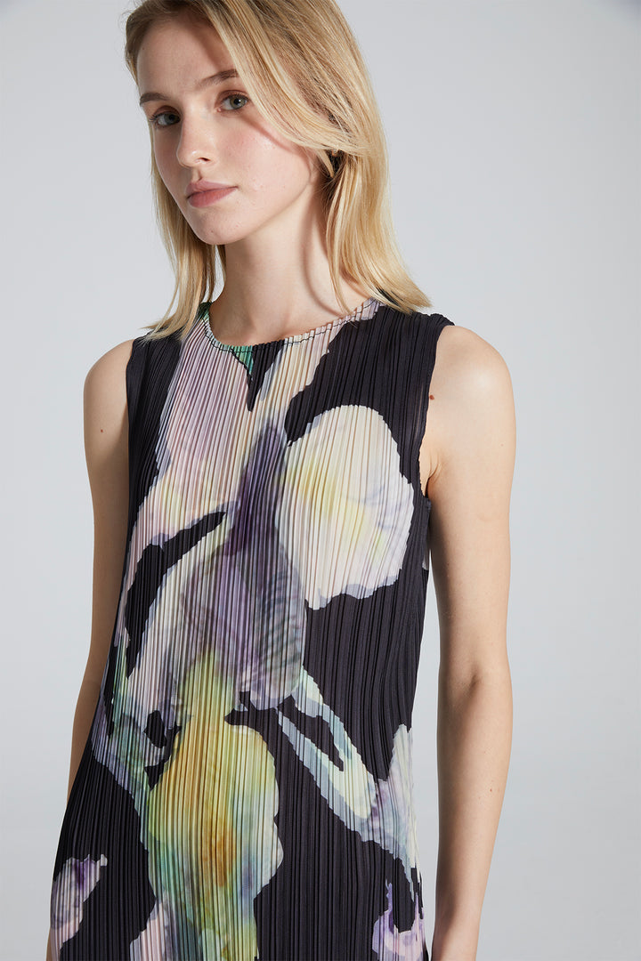 Serena Pleated Print Dress