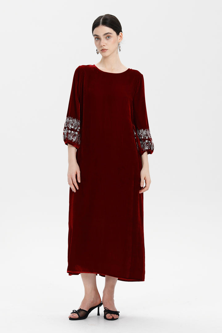 Renee Velvet Embellished Dress