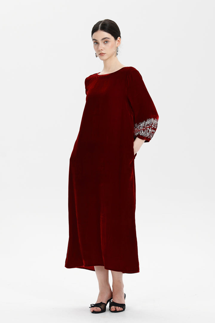 Renee Velvet Embellished Dress