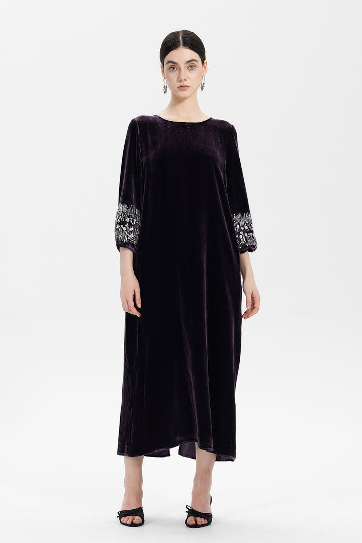Renee Velvet Embellished Dress