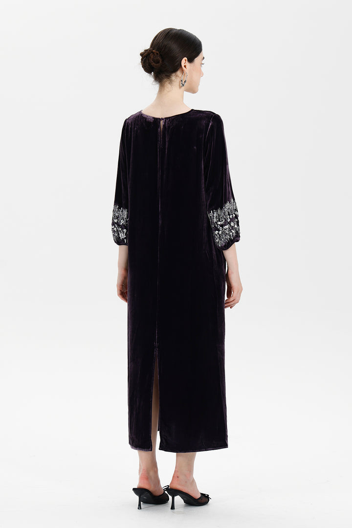 Renee Velvet Embellished Dress