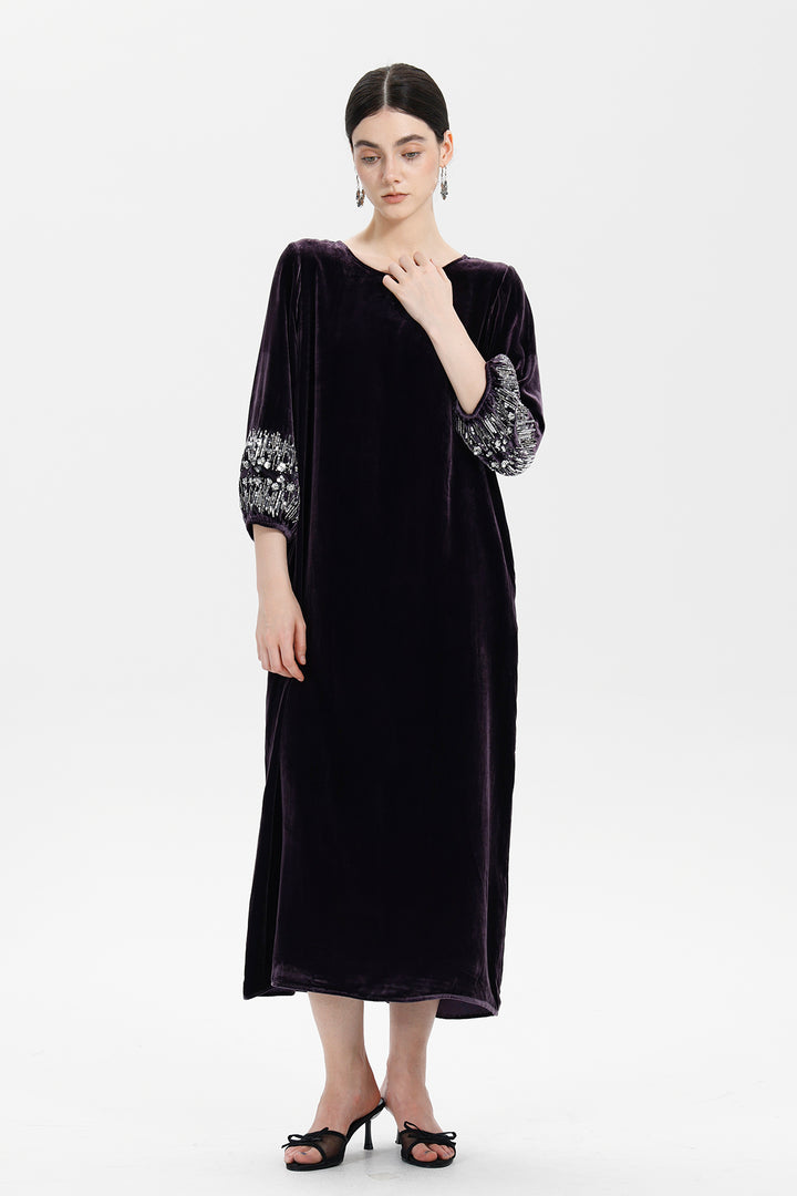 Renee Velvet Embellished Dress