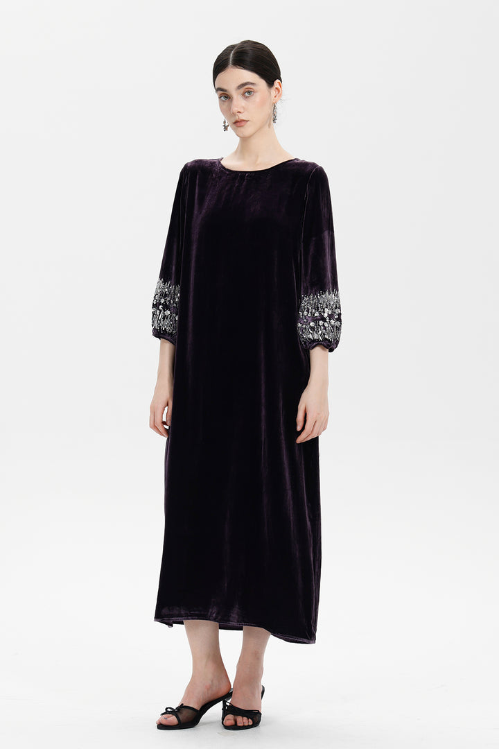 Renee Velvet Embellished Dress
