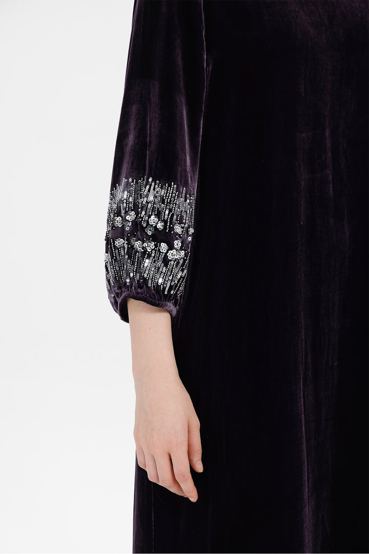 Renee Velvet Embellished Dress
