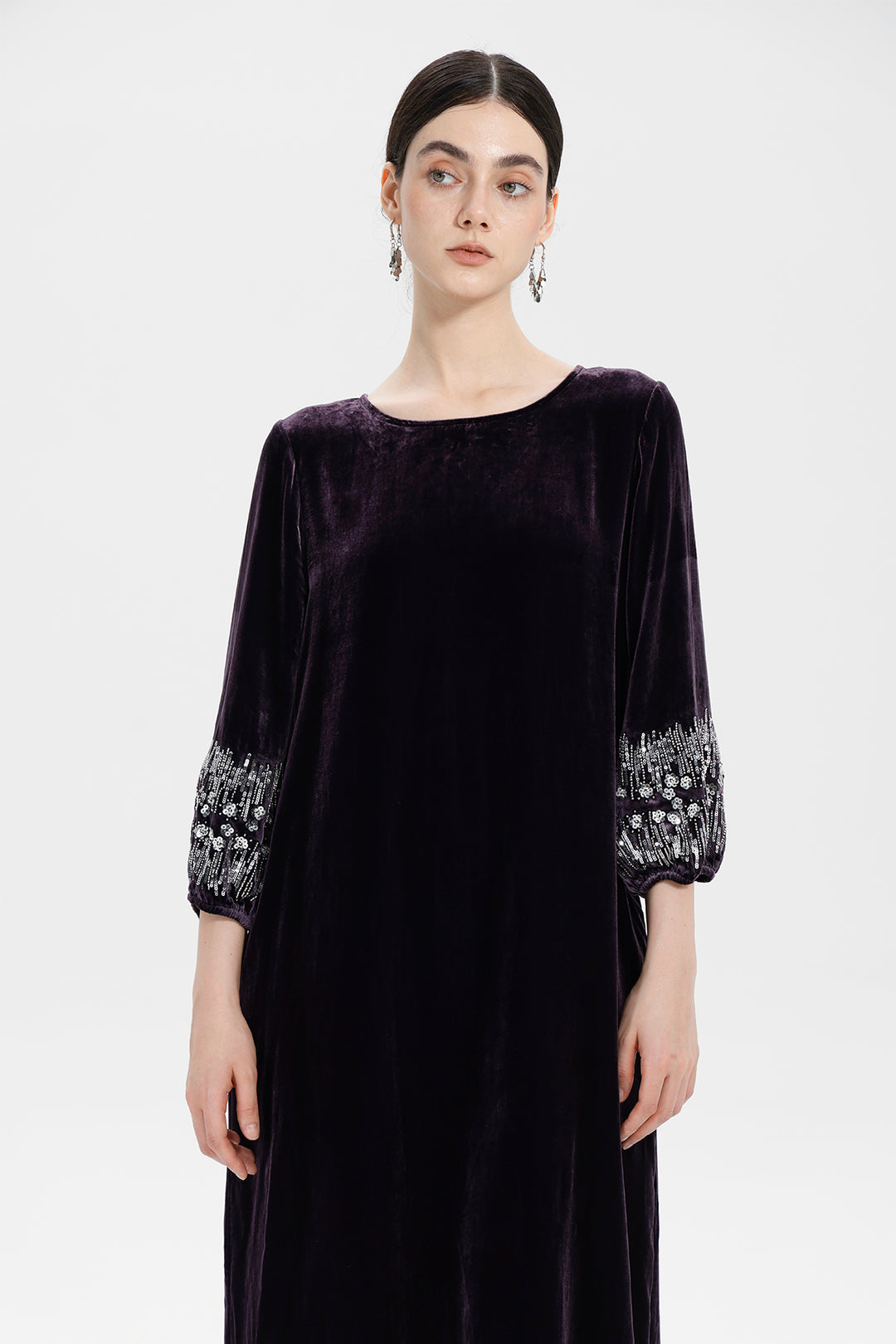 Renee Velvet Embellished Dress