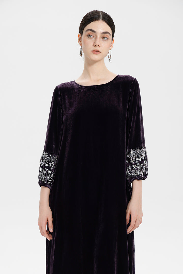 Renee Velvet Embellished Dress