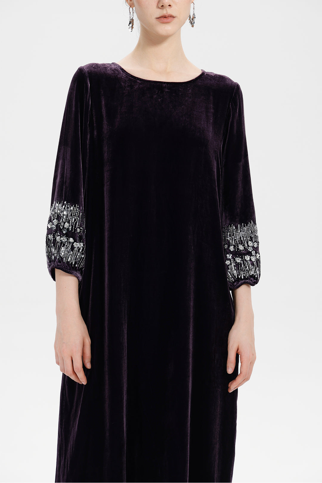 Renee Velvet Embellished Dress