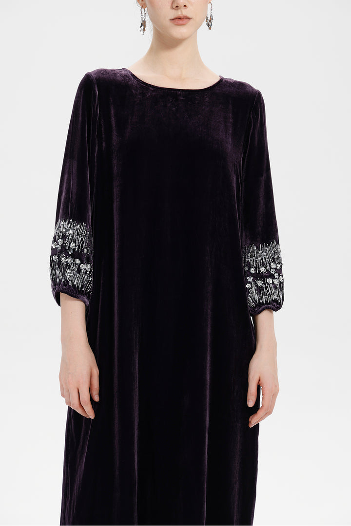 Renee Velvet Embellished Dress