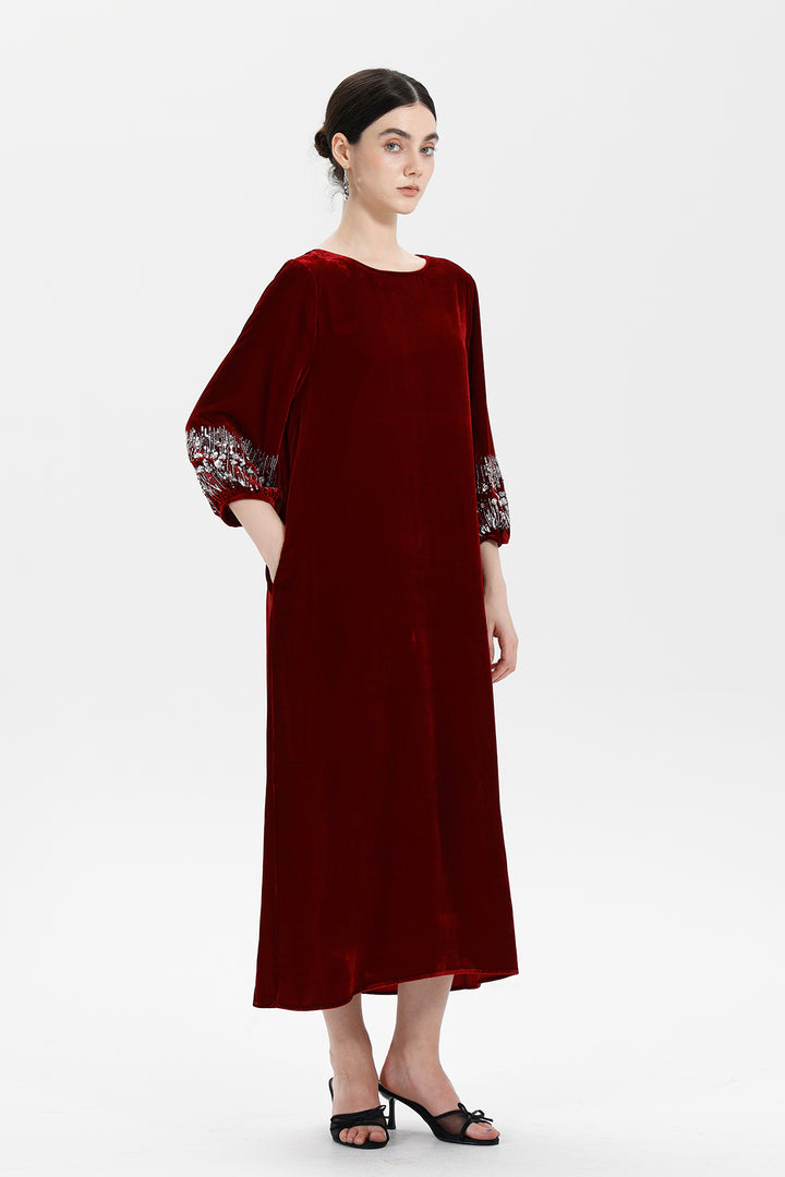 Renee Velvet Embellished Dress