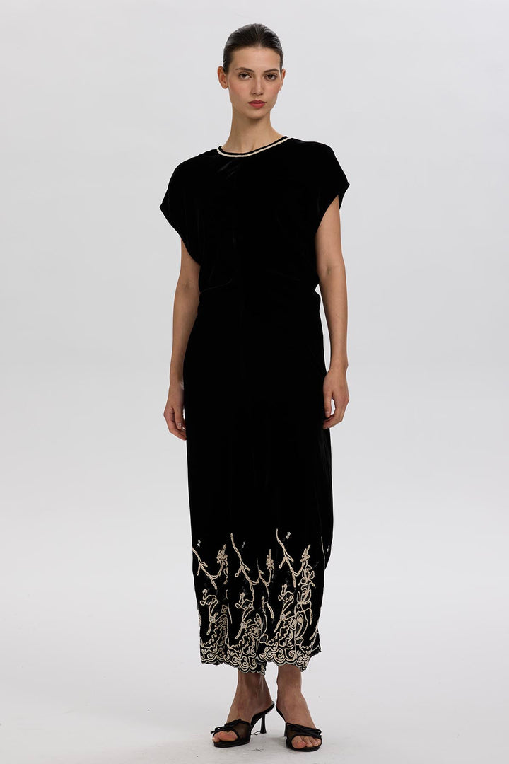 Leyva Embroidery Velvet Dress