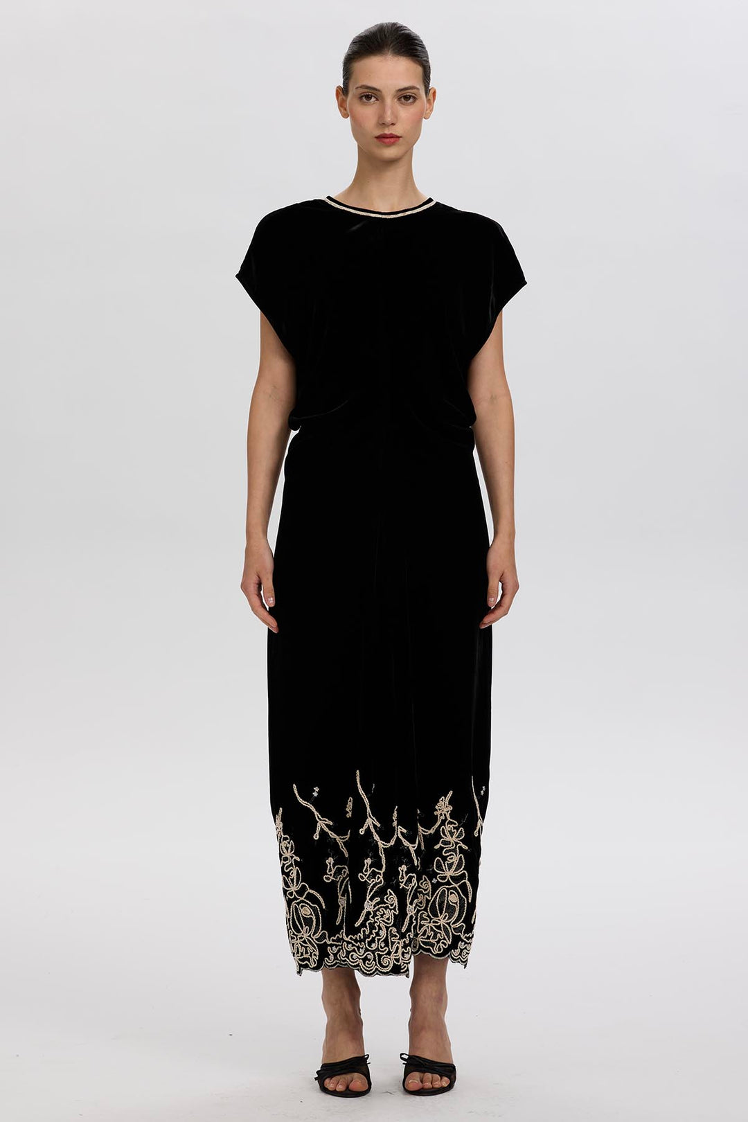 Leyva Embroidery Velvet Dress