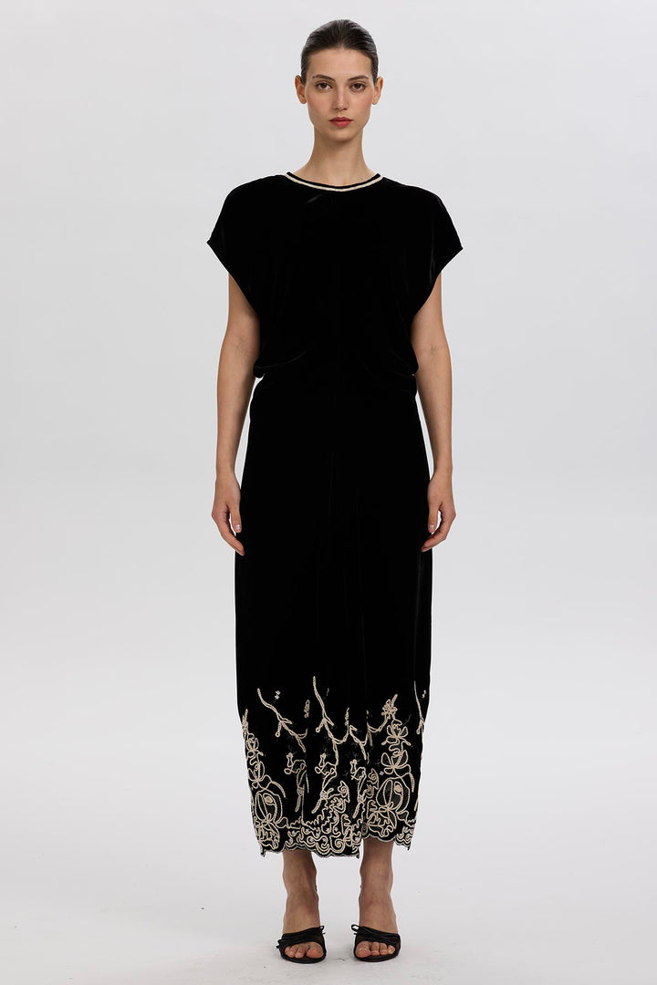 Leyva Embroidery Velvet Dress